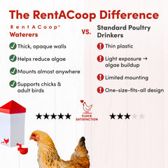 RentACoop Automatic Drinker installed in a chicken coop