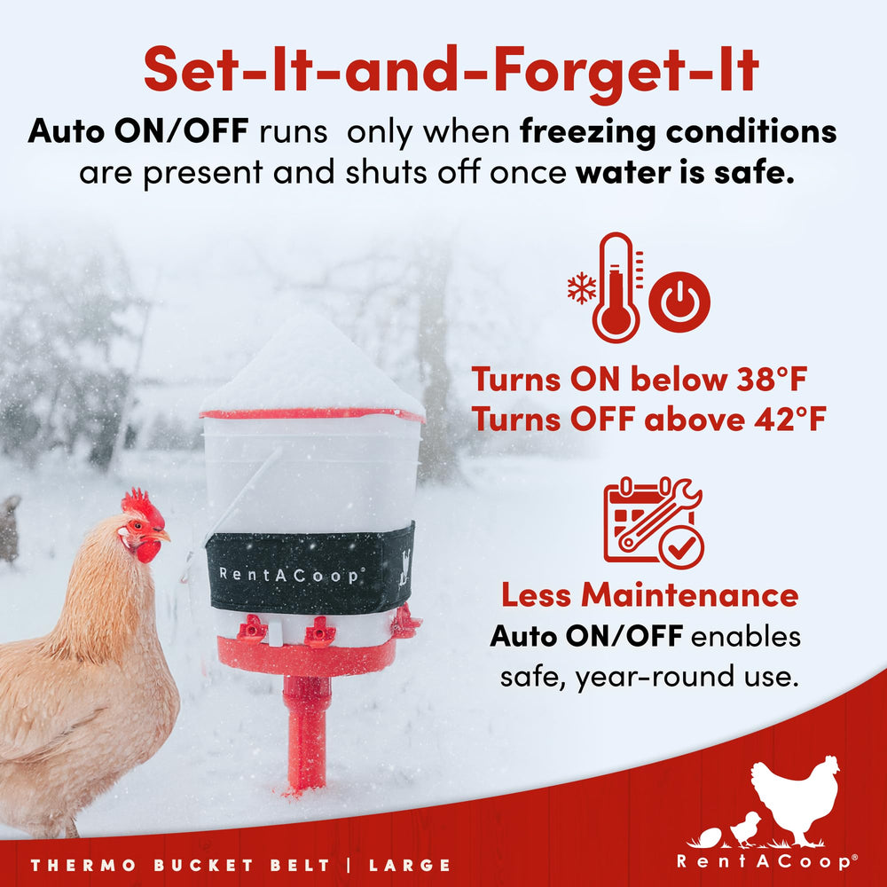 RentACoop heater in an outdoor coop setting