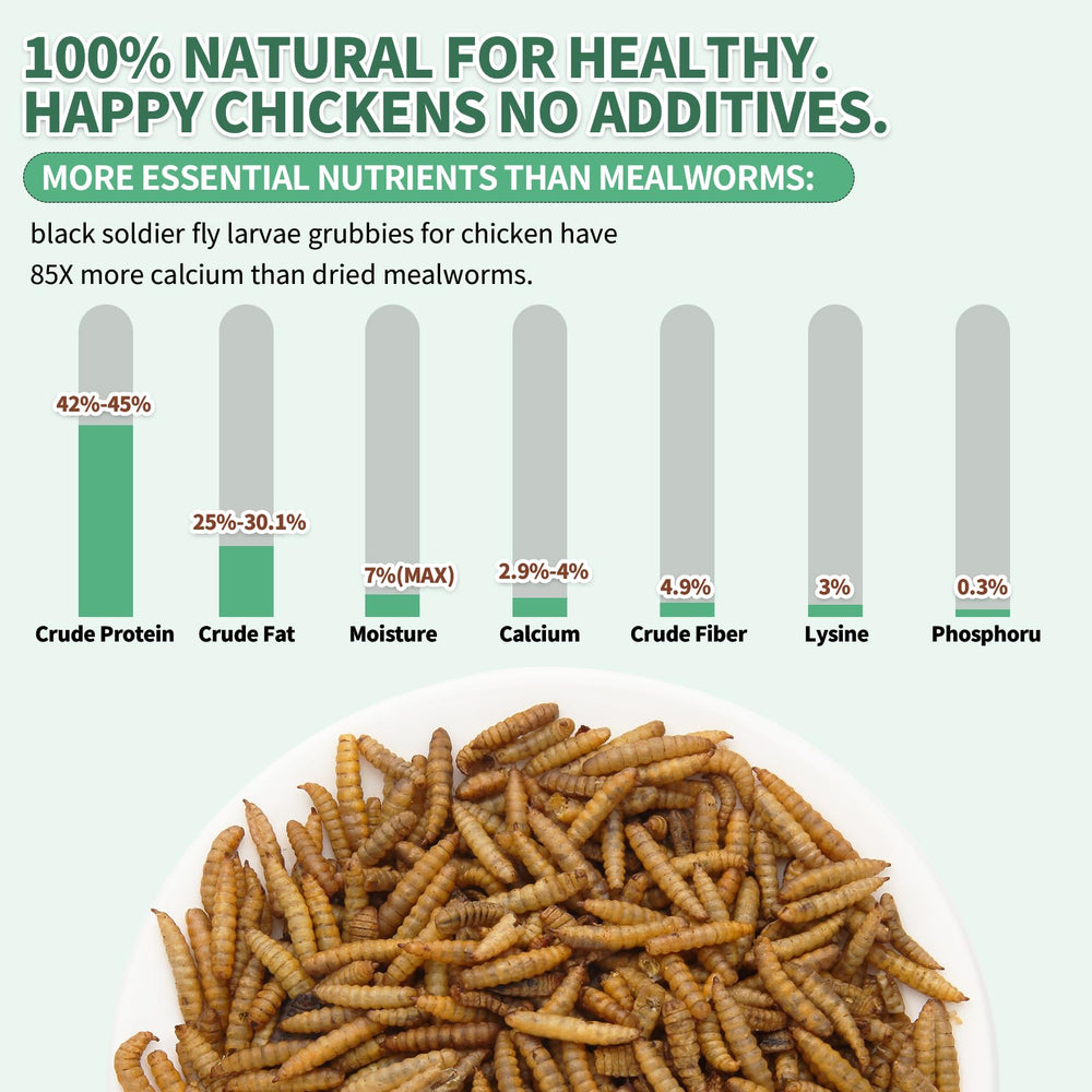 Resealable bag of FCI GRUBS Dried Black Soldier Fly Larvae