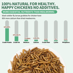 Resealable bag of FCI GRUBS Dried Black Soldier Fly Larvae