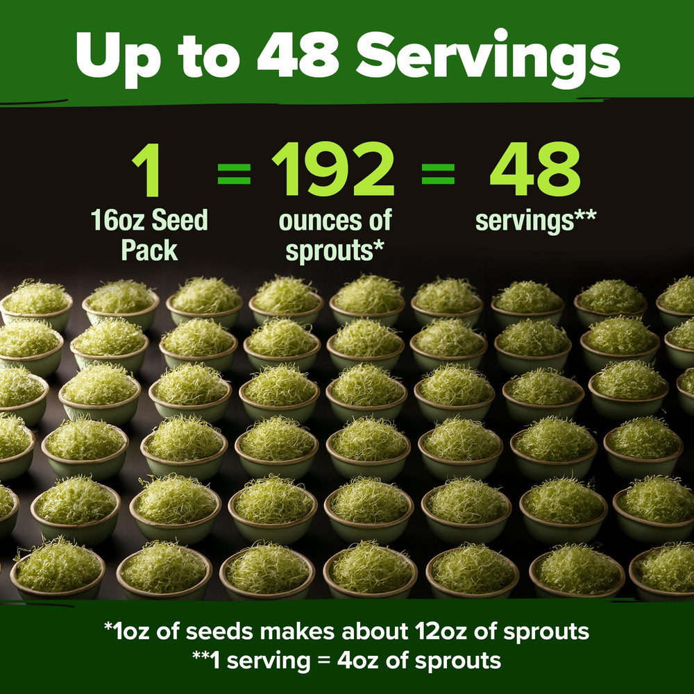 Resealable bag of HOME GROWN Alfalfa seeds with sprouting instructions