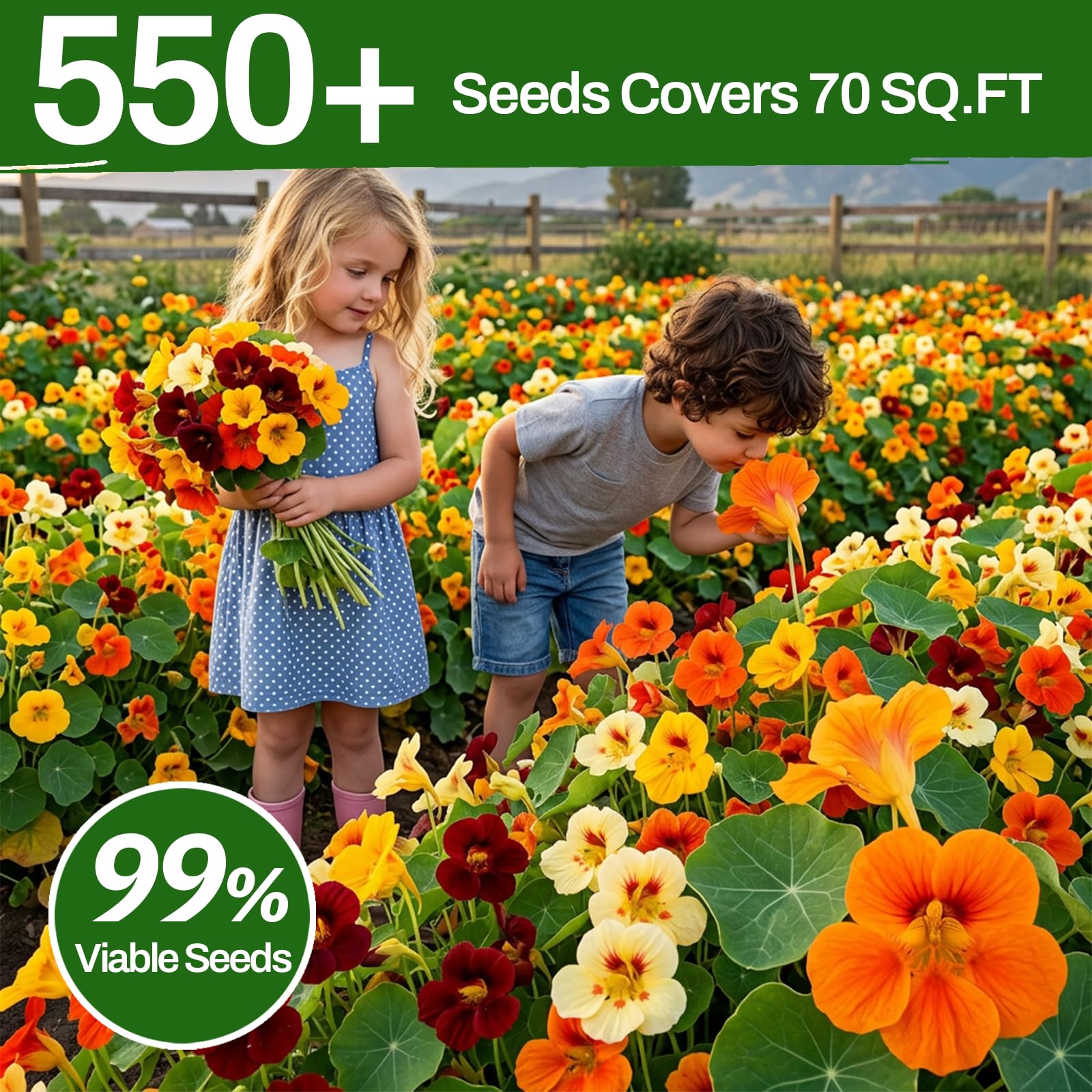 Resealable bag of LUOJIBIE Nasturtium Seeds for long-term freshness