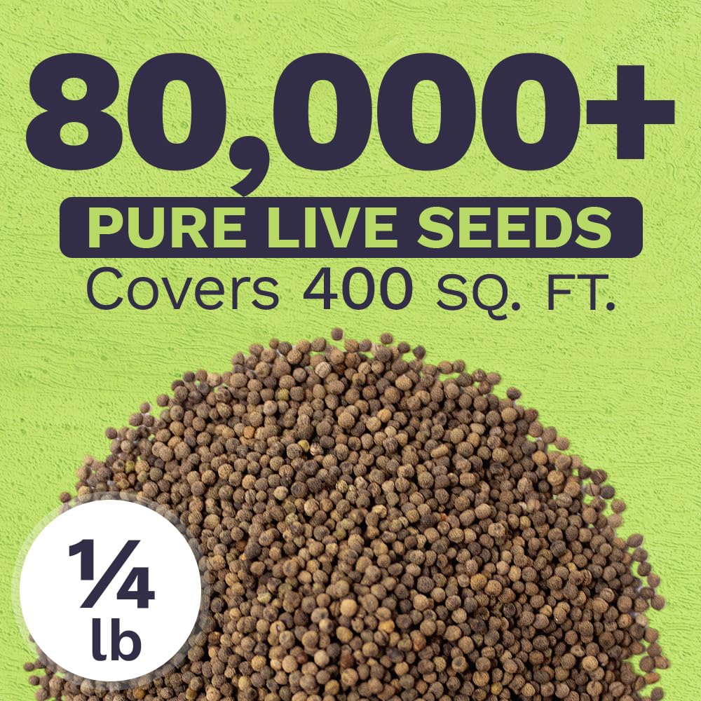 Resealable packaging of SWEET YARDS California Poppy Seeds