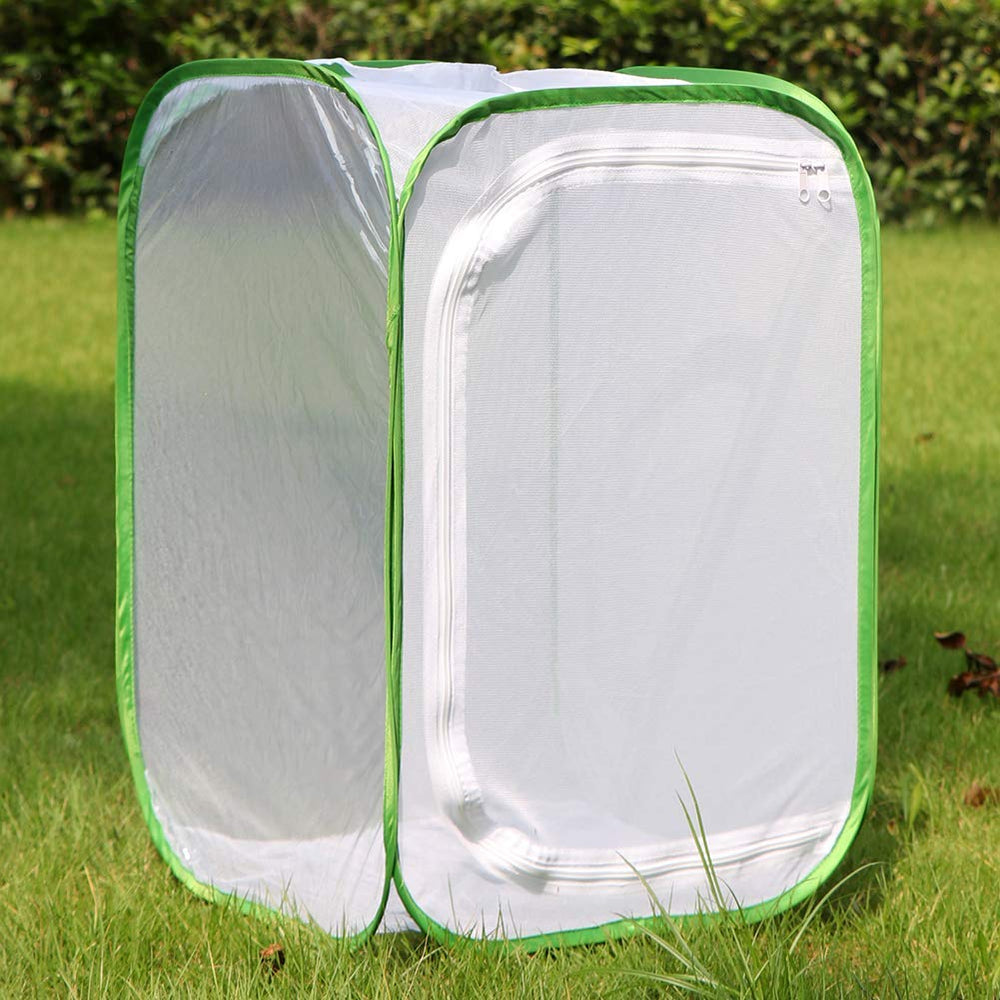 RESTCLOUD butterfly habitat cage assembled, showcasing clear vinyl panel