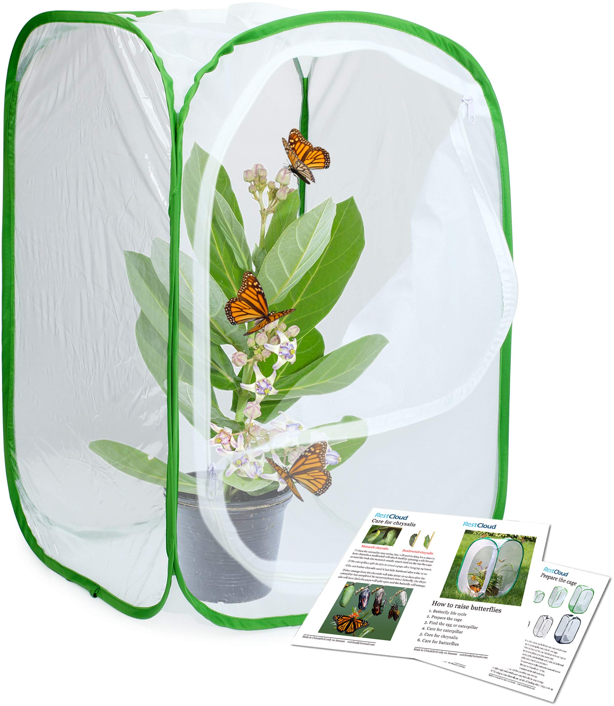 RESTCLOUD butterfly habitat cage front view, white with green accents