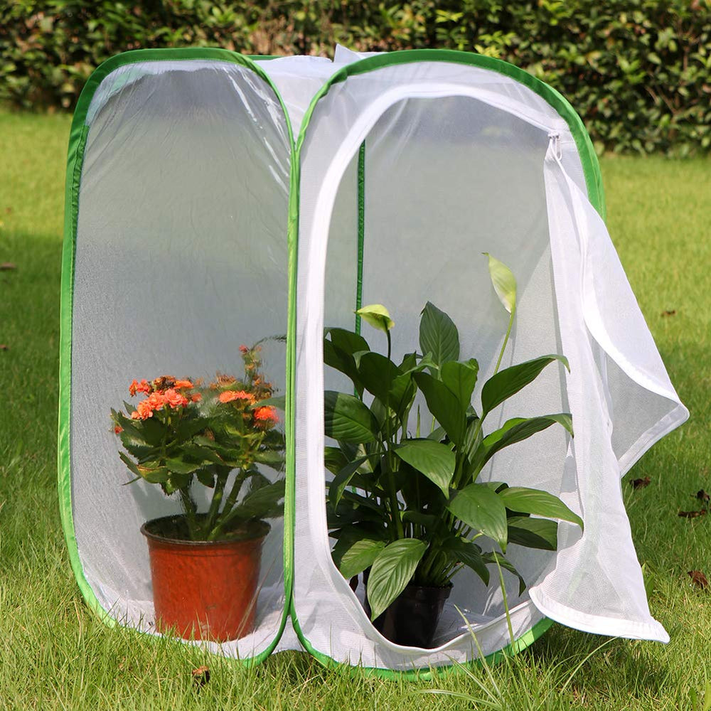 RESTCLOUD butterfly habitat cage with zipper side opening