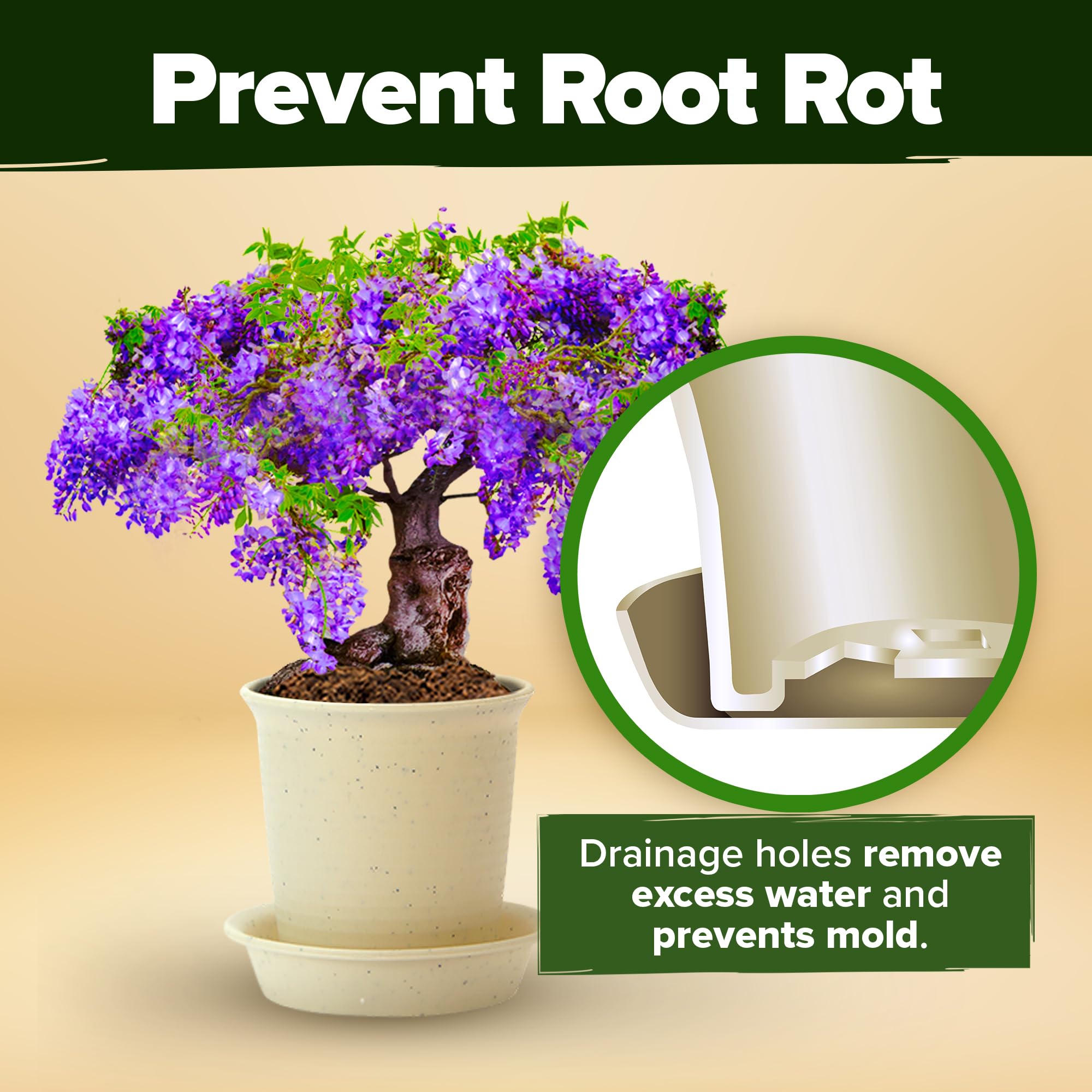 Reusable bonsai pots and trays from the starter kit