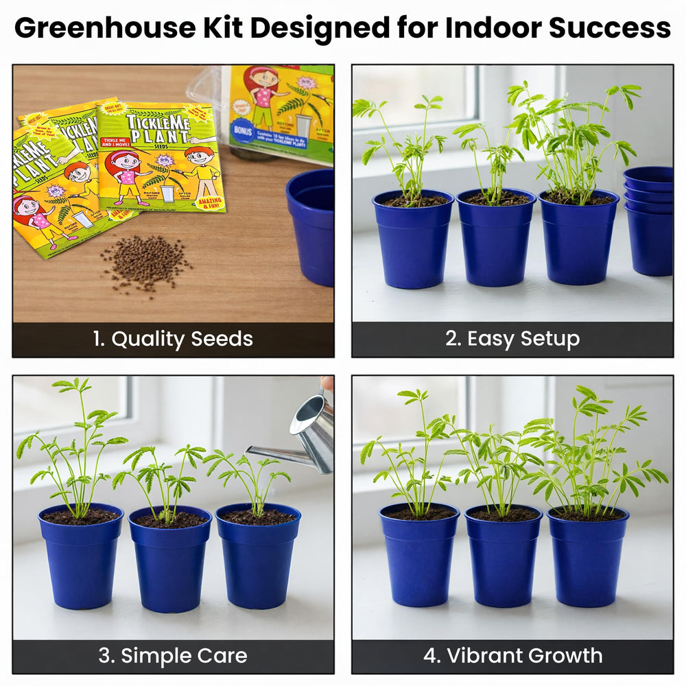 Reusable mini greenhouse made from recycled plastic