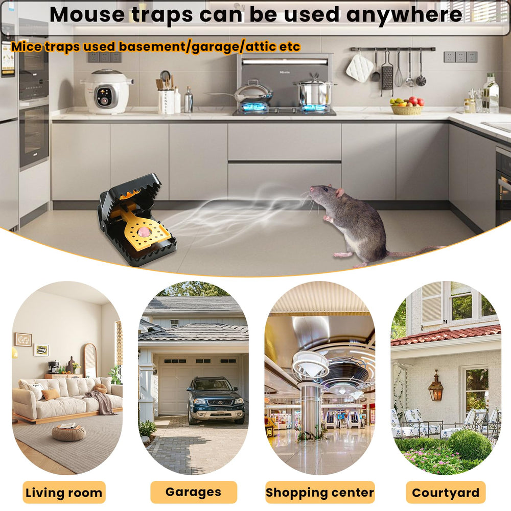 RGBRW Mouse Trap demonstrating its sturdy structure