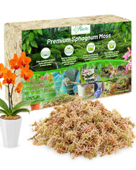 Riare 1.1LB Premium Sphagnum Moss compressed block front view
