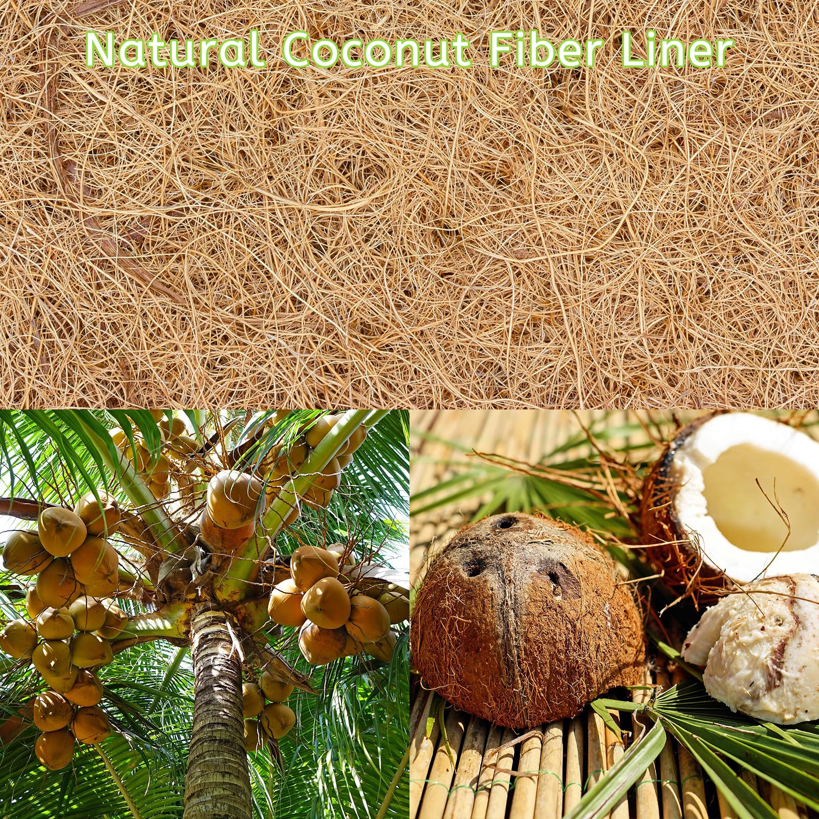 Riare 14 inch coco liner in a hanging basket setup
