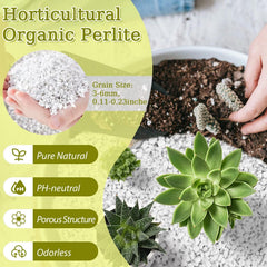 Riare 15QT Organic Perlite showing texture