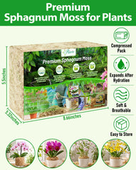 Riare 2.2LB Premium Sphagnum Moss expanded view showing fibers