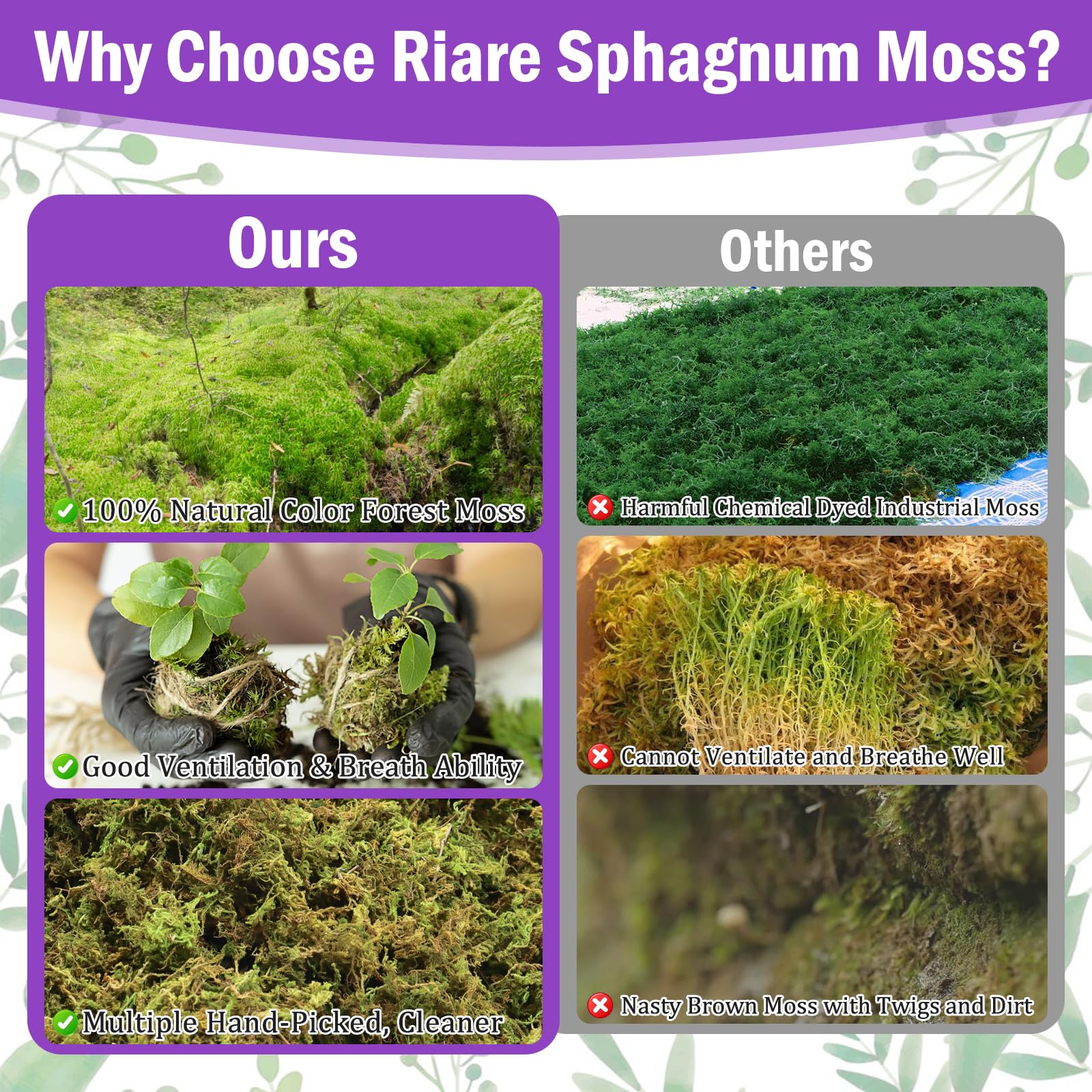 Riare 3.3lbs sphagnum moss close-up