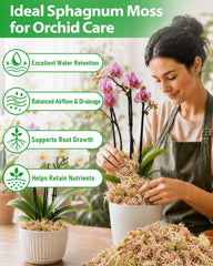 Riare 5.3oz sphagnum moss used in orchid potting