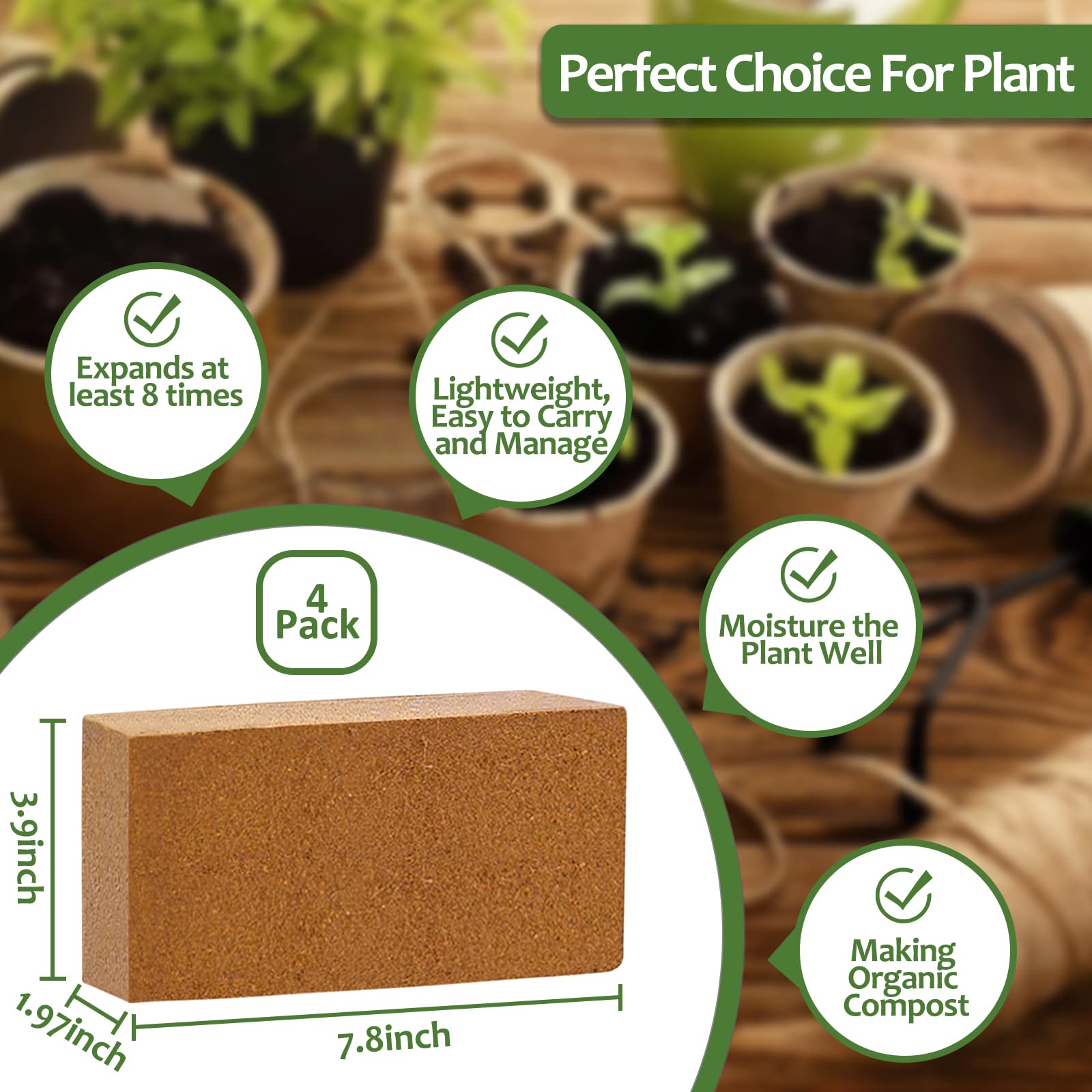 Riare coco coir brick showing texture and size