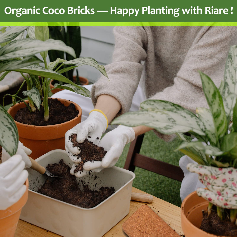 Riare coco coir bricks with plants growing in soil