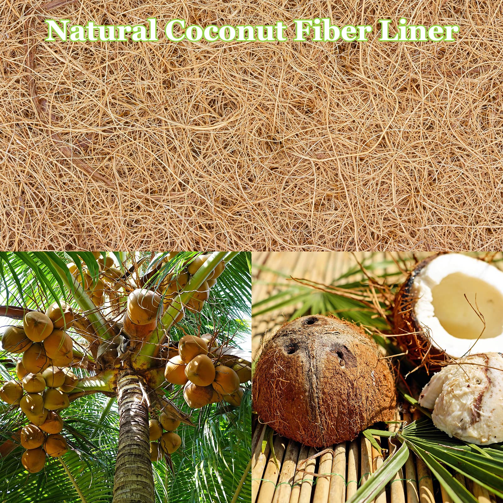 Riare coco liners showing thickness and texture