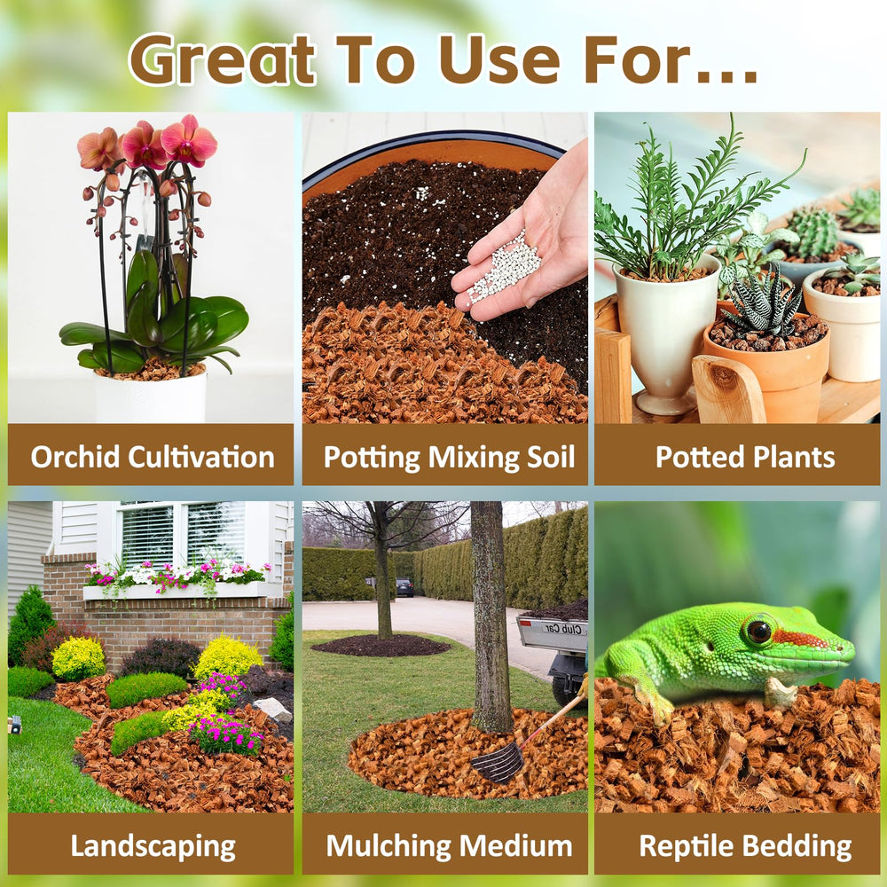 Riare coconut coir chips used in potted plants