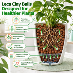 Riare Leca Clay Pebbles in a garden setup with plants