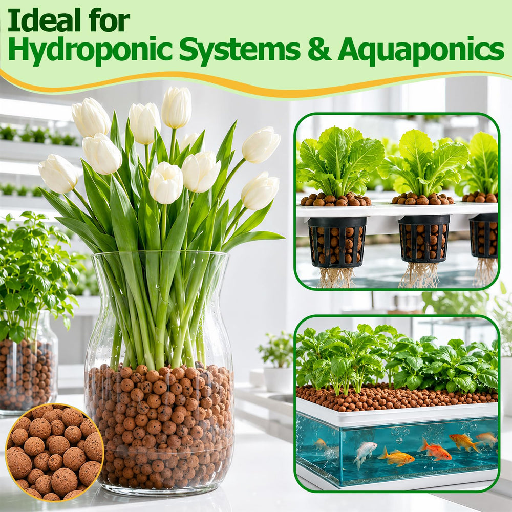 Riare Leca Clay Pebbles in a terrarium setting