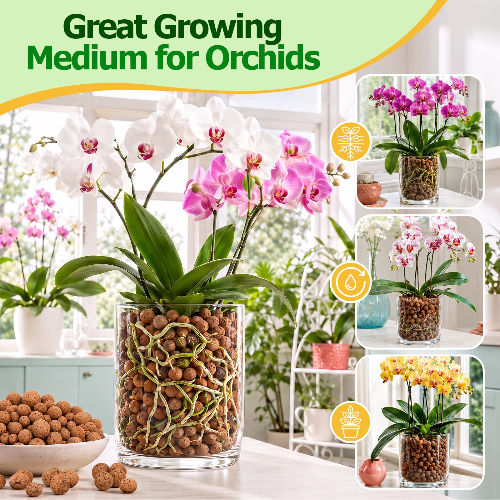 Riare Leca Pebbles arranged in propagation jars