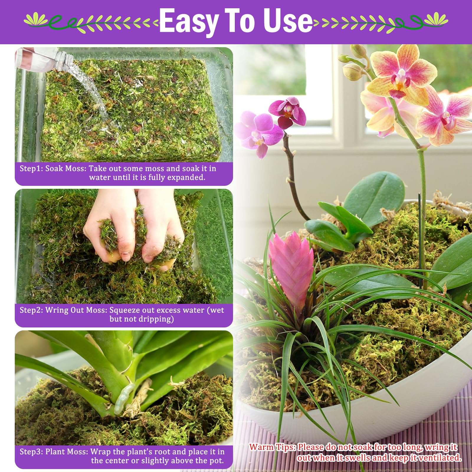 Riare natural moss in a decorative arrangement