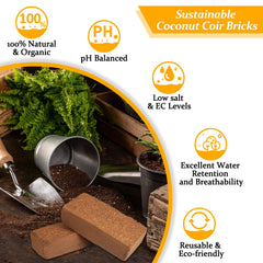 Riare Organic Coco Coir Bricks in use with plants