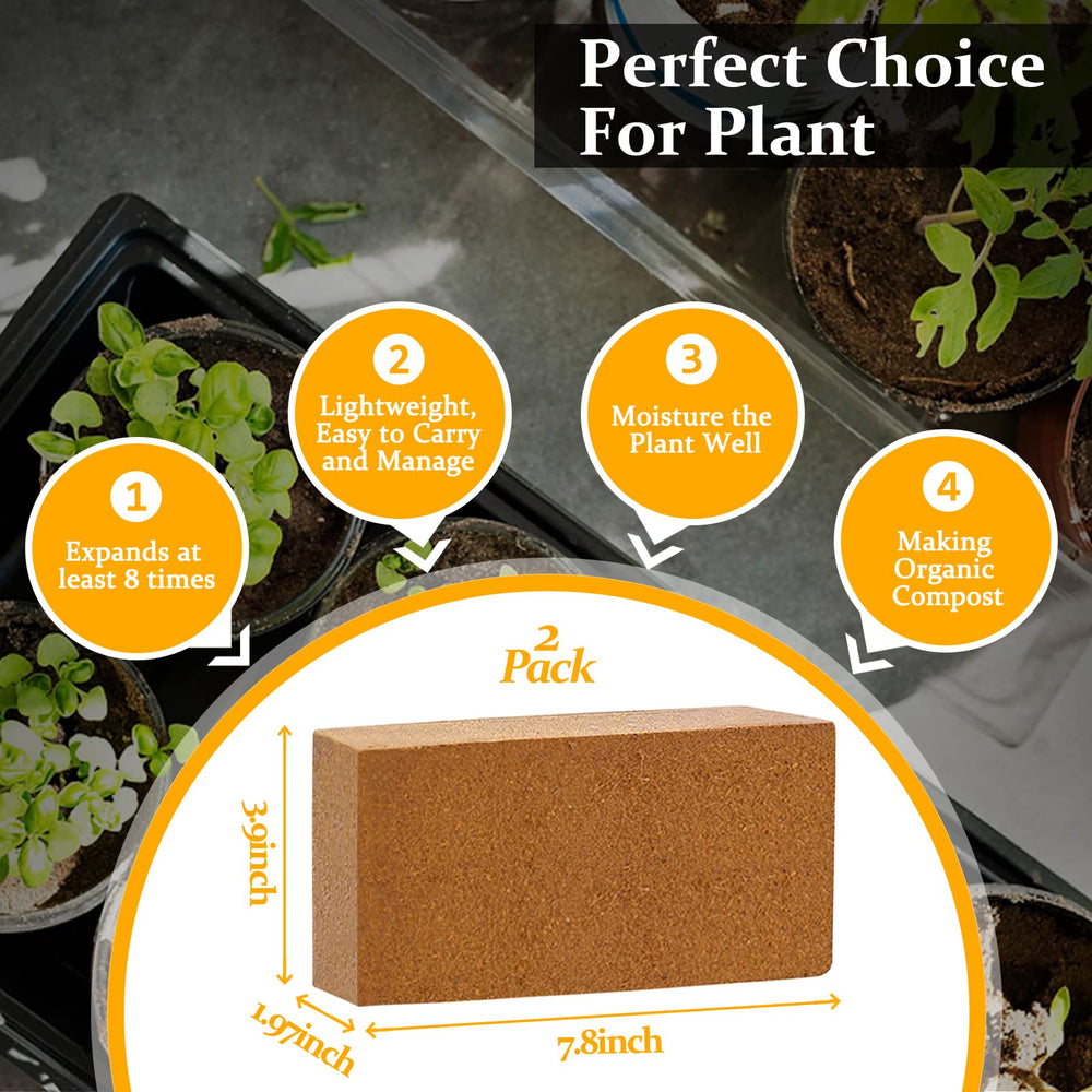 Riare Organic Coco Coir Bricks showing dimensions 8x4x2 inches