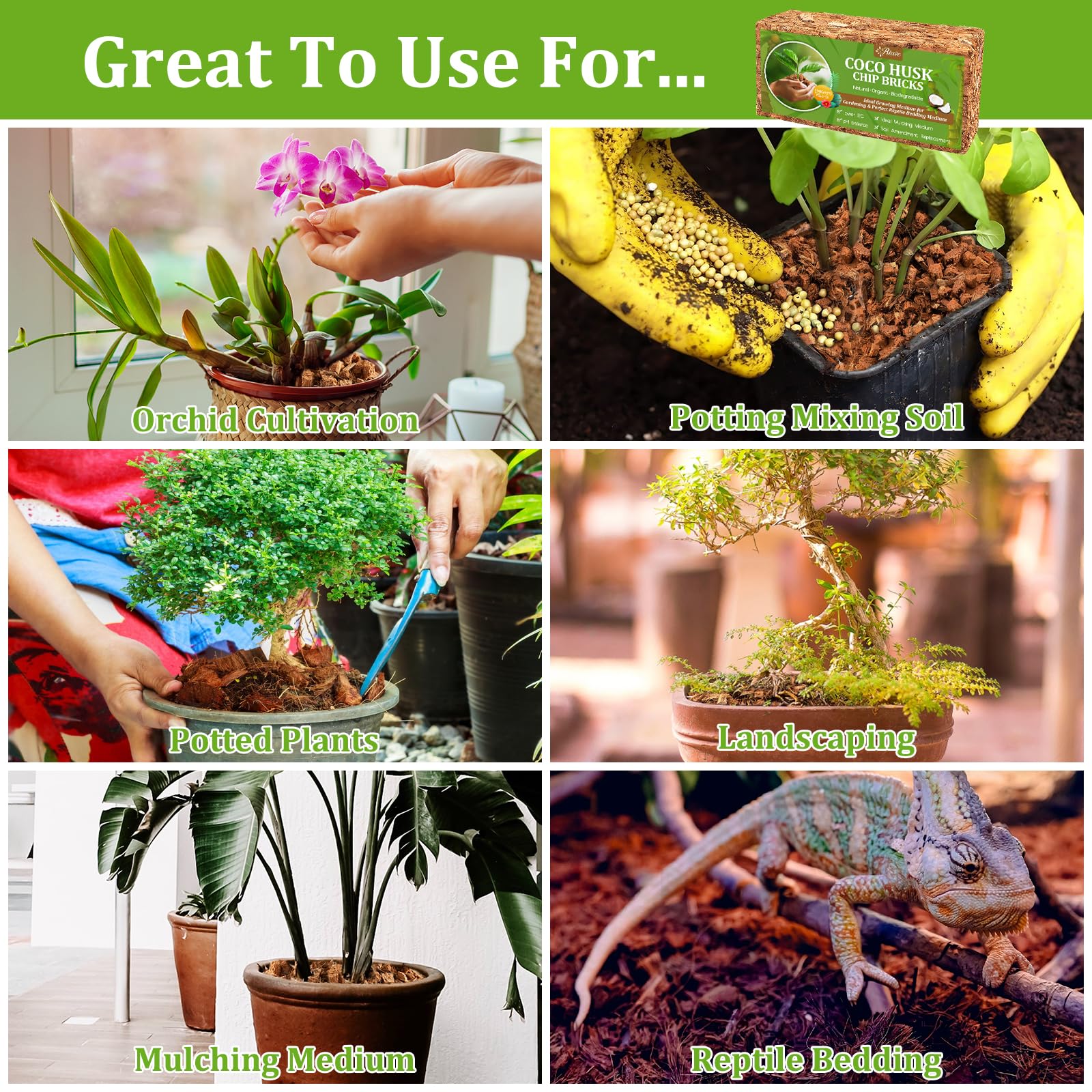 Riare Organic Coco Coir Chips displayed with various plants