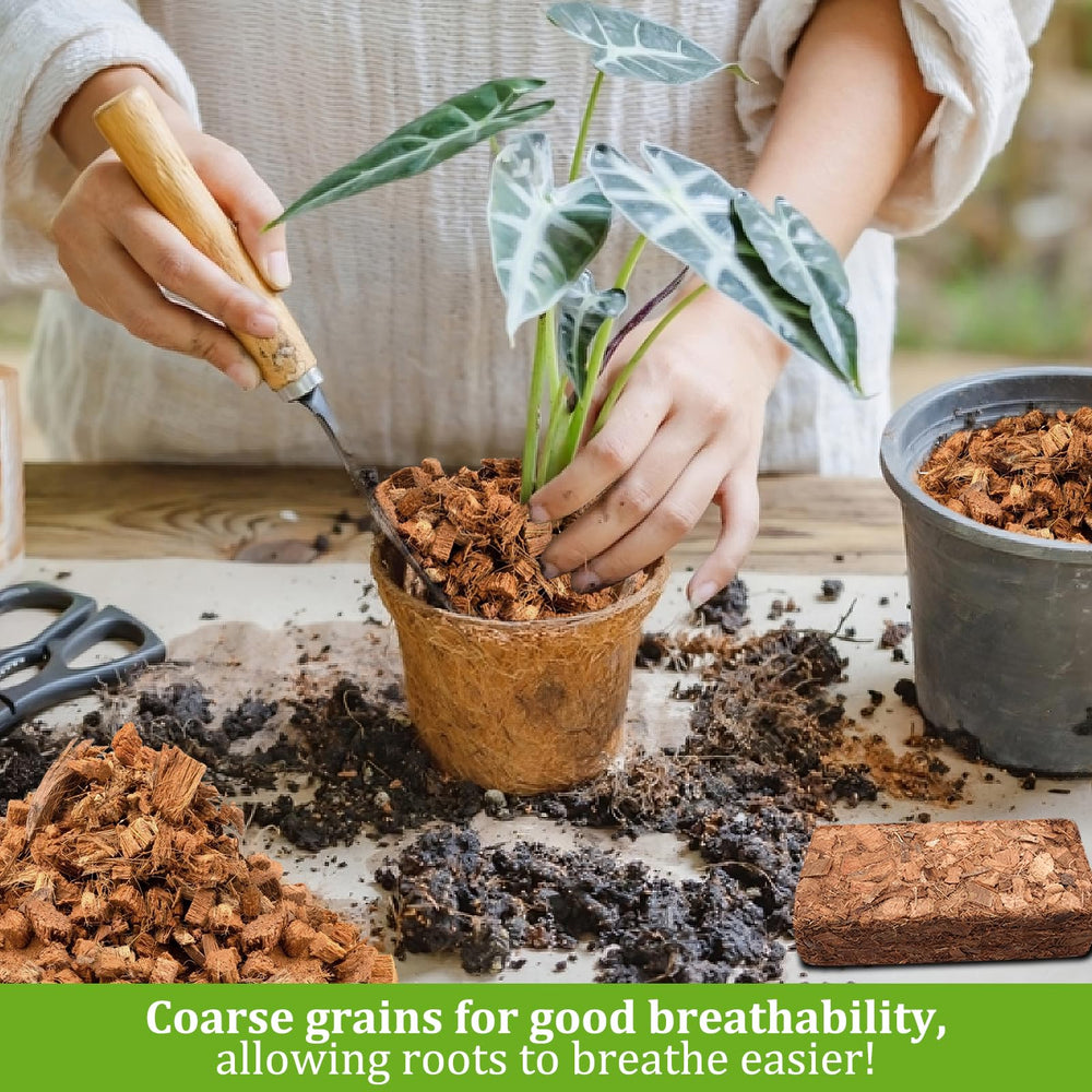 Riare Organic Coco Coir Chips used in potted plants