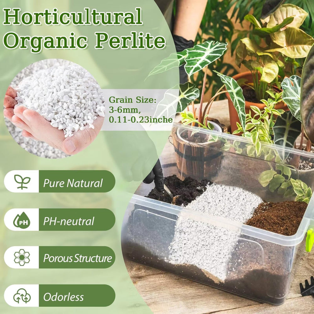Riare Organic Perlite 2QT close-up of perlite texture