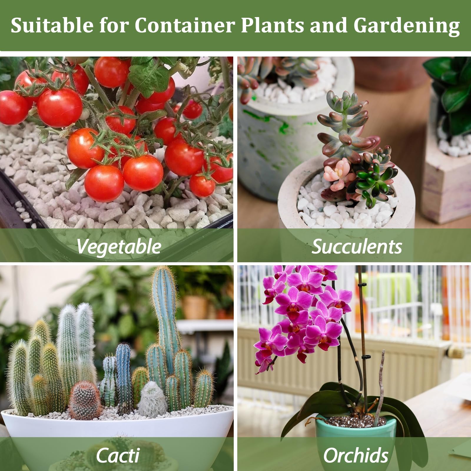 Riare Organic Perlite 2QT with plants growing in containers