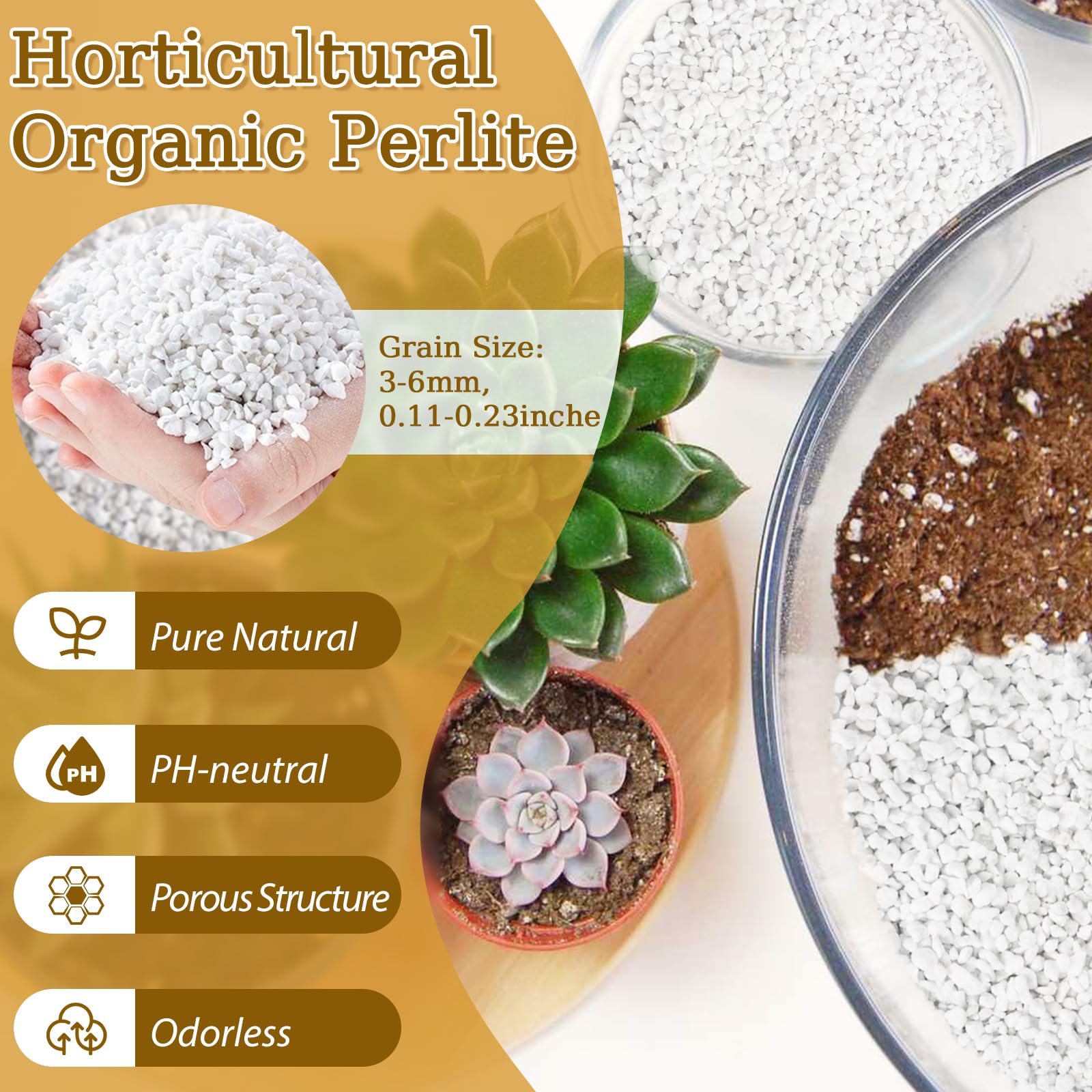 Riare Organic Perlite close-up of texture