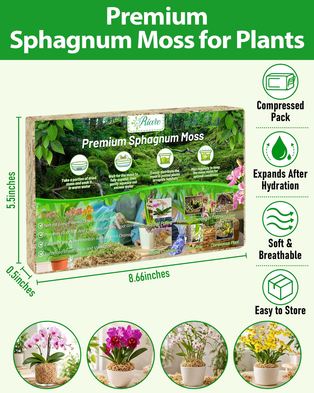 Riare Sphagnum Moss compressed block with dimensions