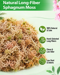 Riare Sphagnum Moss expanded showing long fibers