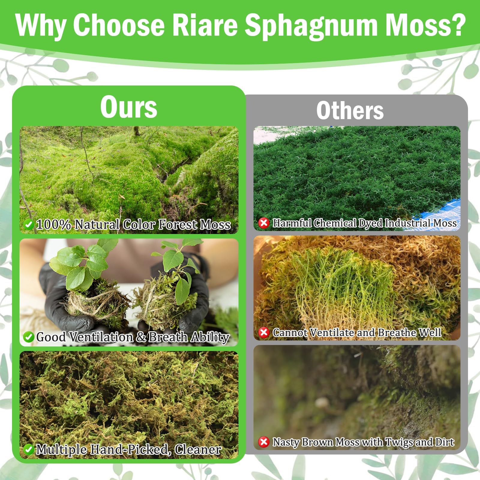 Riare Sphagnum Moss for DIY craft decoration