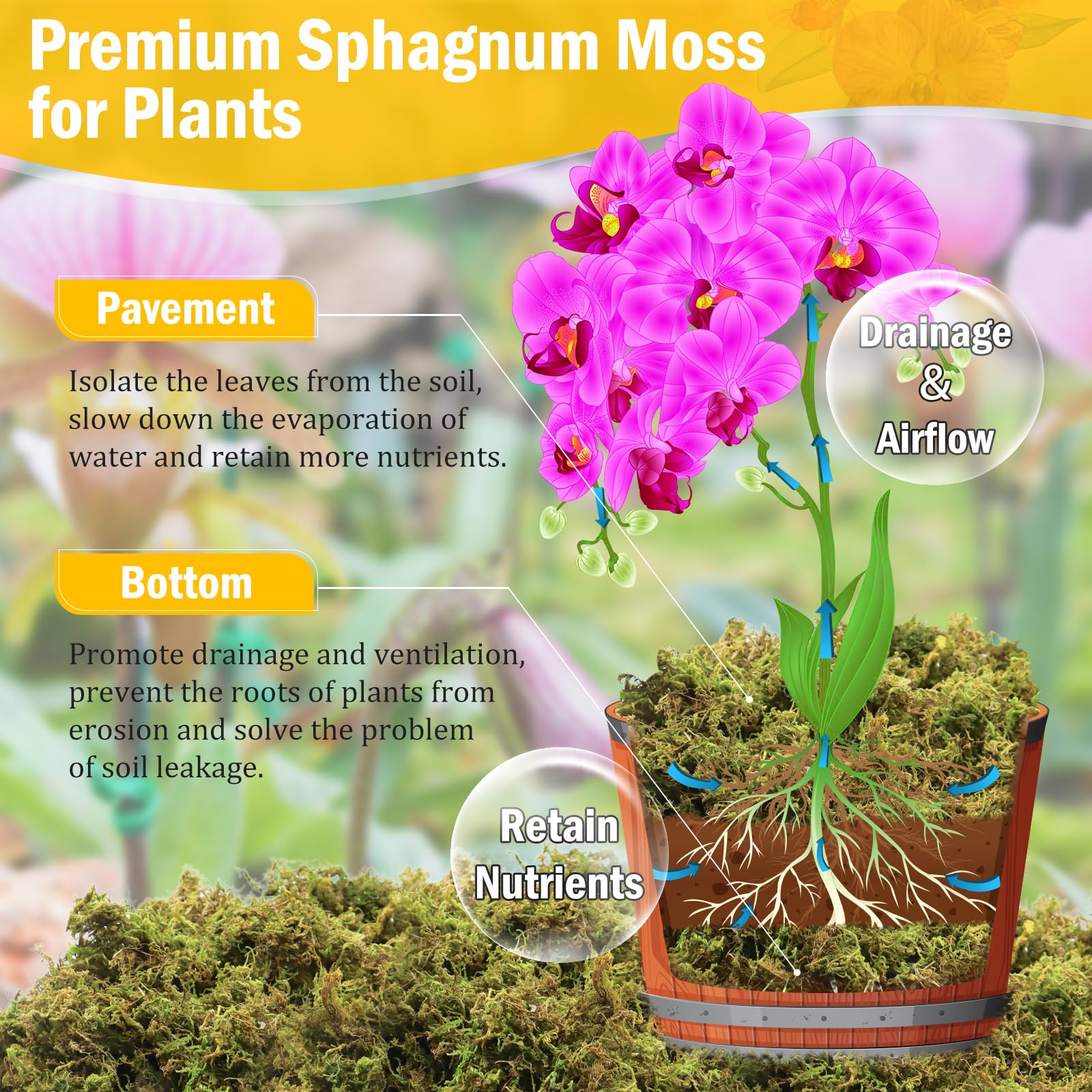 Riare sphagnum moss fully expanded in a garden