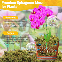 Riare sphagnum moss fully expanded in a garden