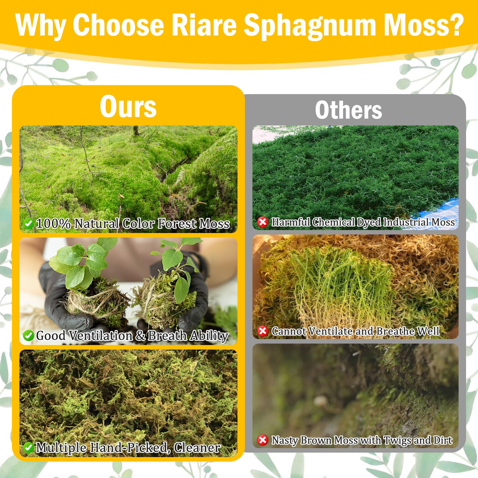 Riare sphagnum moss in a decorative planter