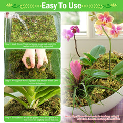 Riare Sphagnum Moss used in a plant pot
