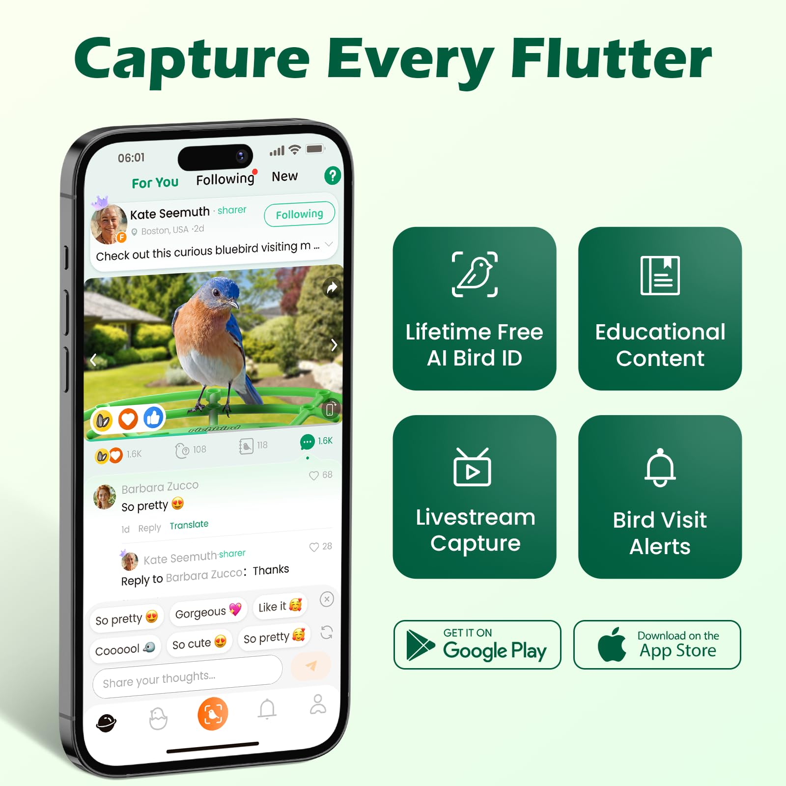 RichBird Bird Feeder with Camera, app interface showing live feed