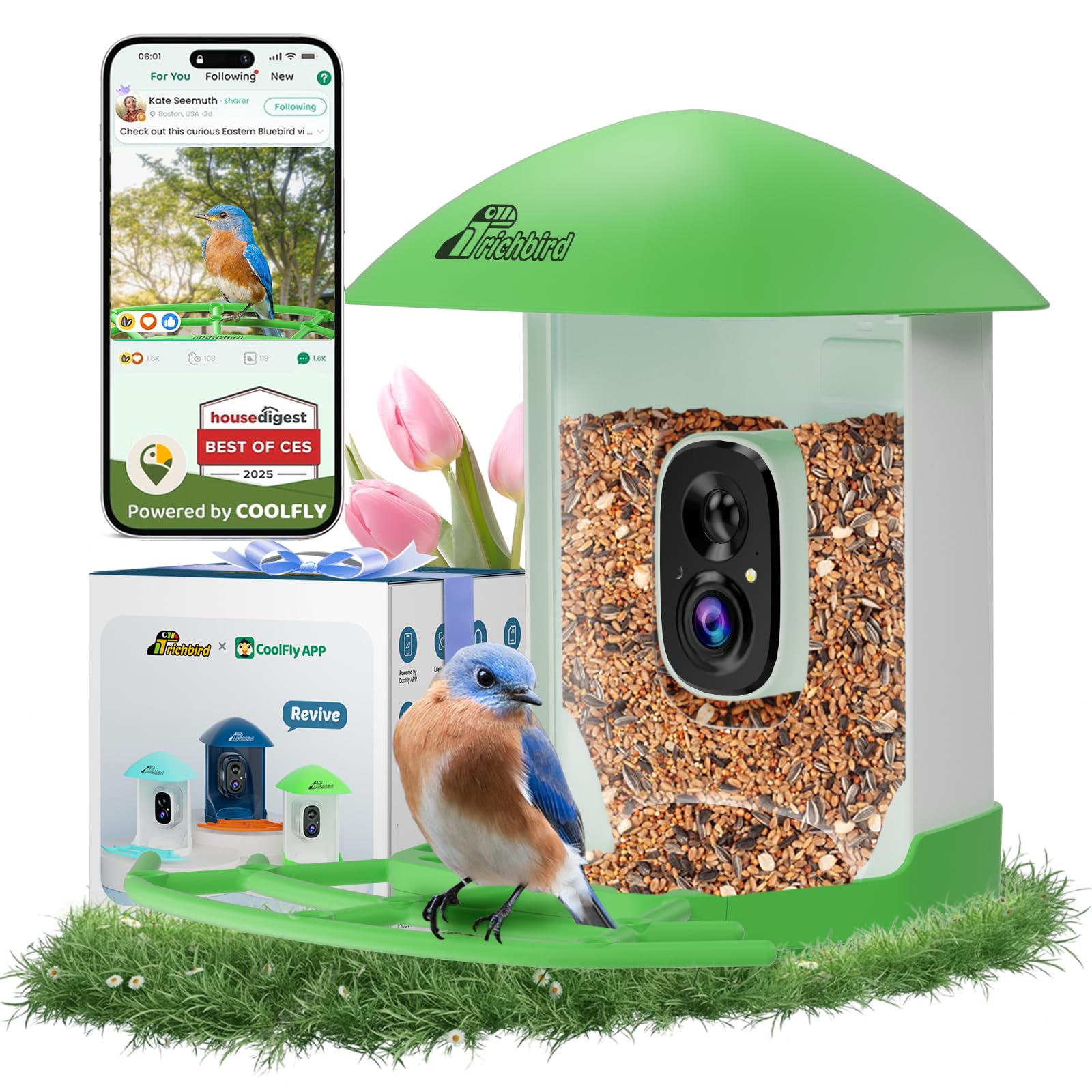 RichBird Bird Feeder with Camera, front view, green