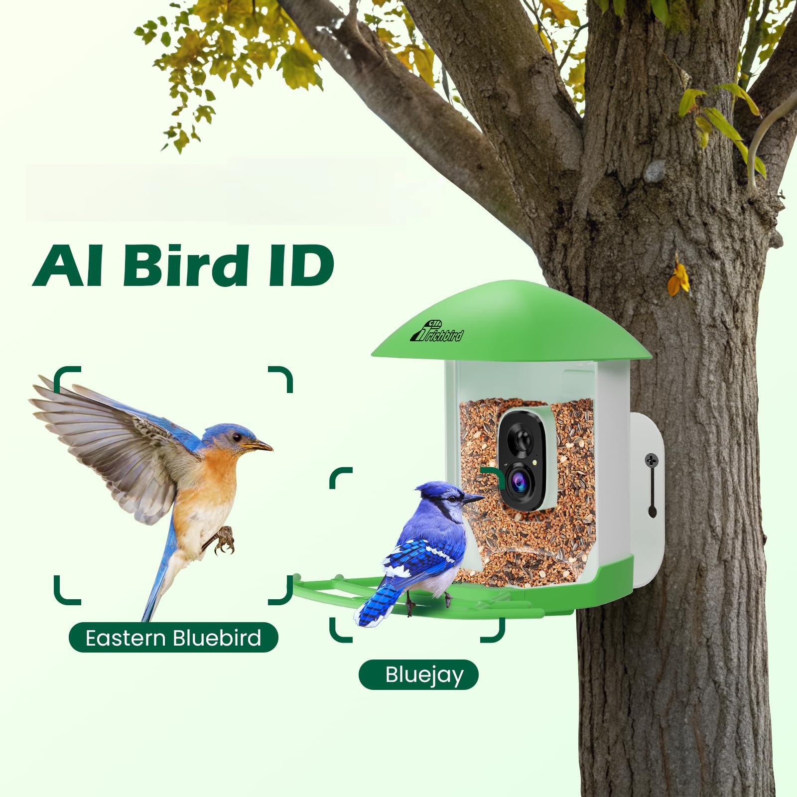 RichBird Bird Feeder with Camera, mounted on a tree
