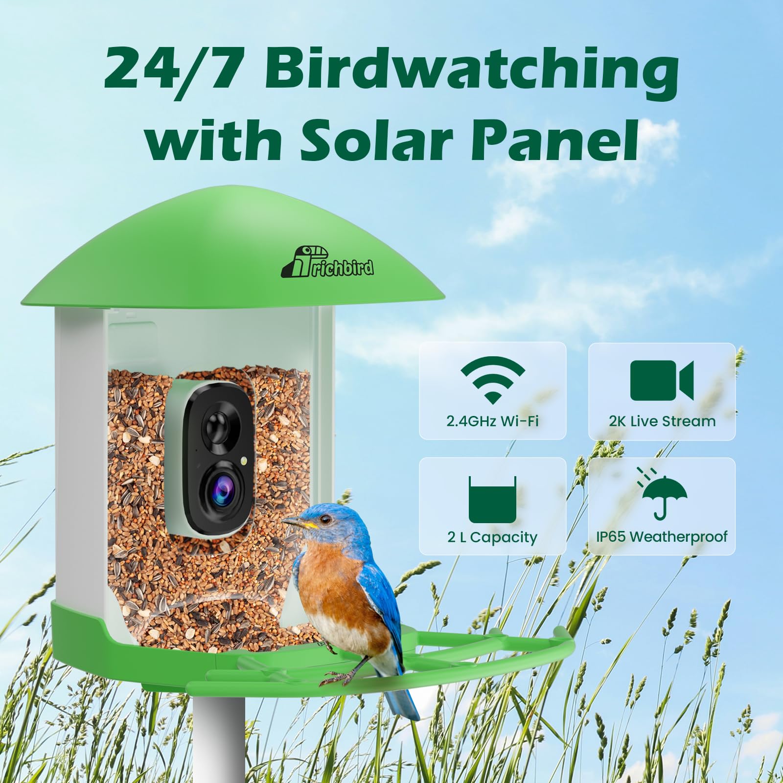 RichBird Bird Feeder with Camera, side view