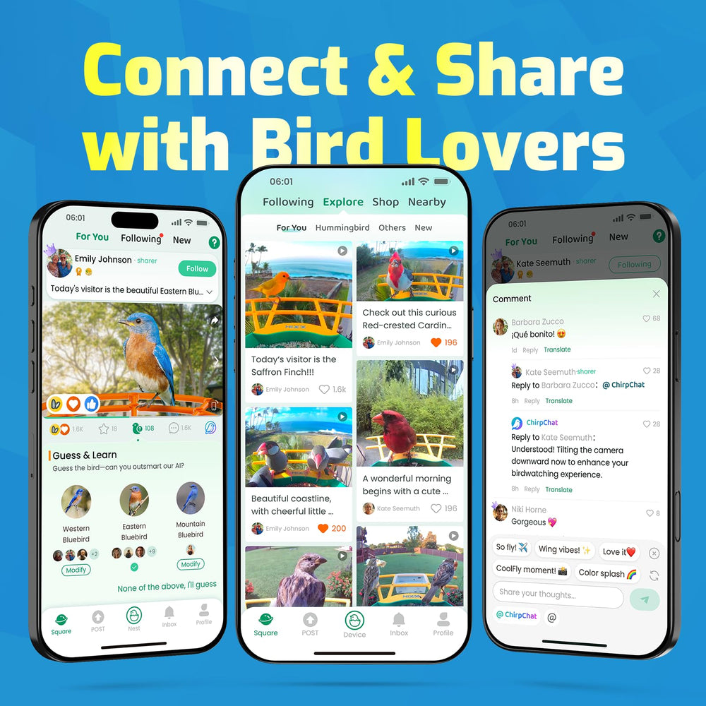 RichBird Bird Feeder with Camera, user interacting with the app