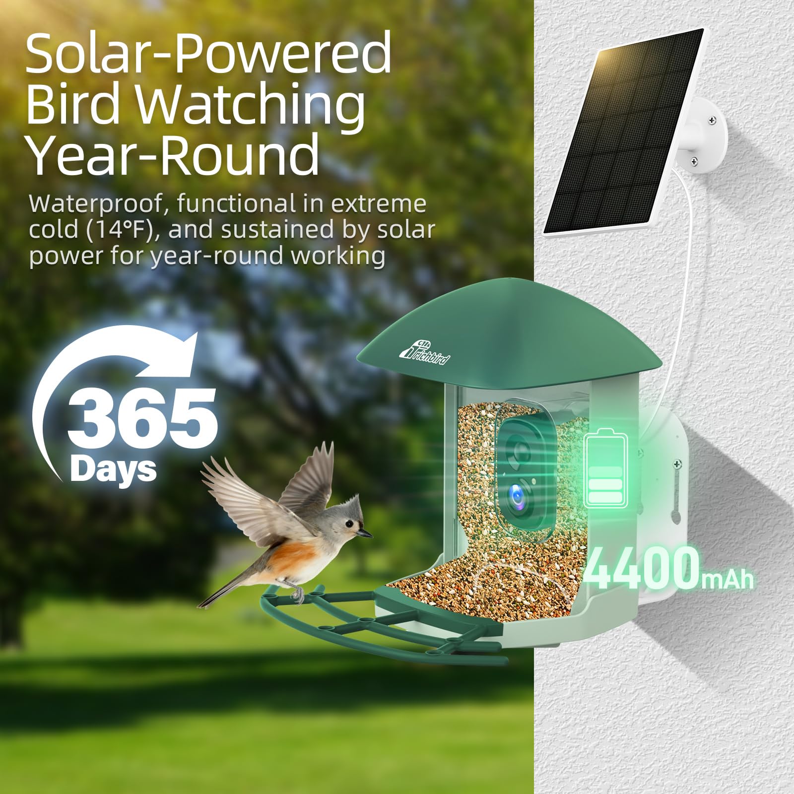 RichBird Smart Bird Feeder components including charging cable