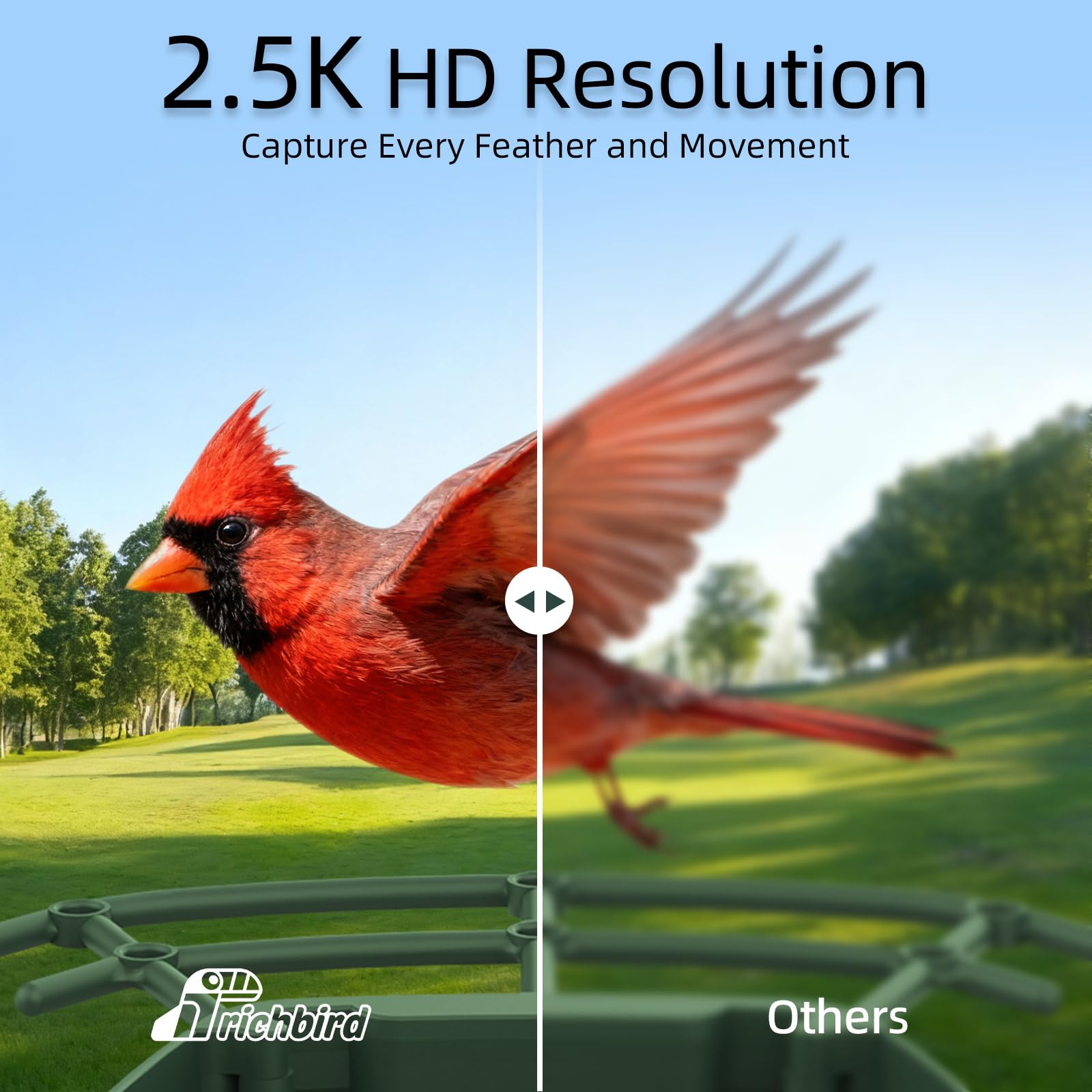 RichBird Smart Bird Feeder displayed in a garden setting