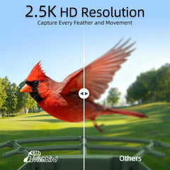 RichBird Smart Bird Feeder displayed in a garden setting