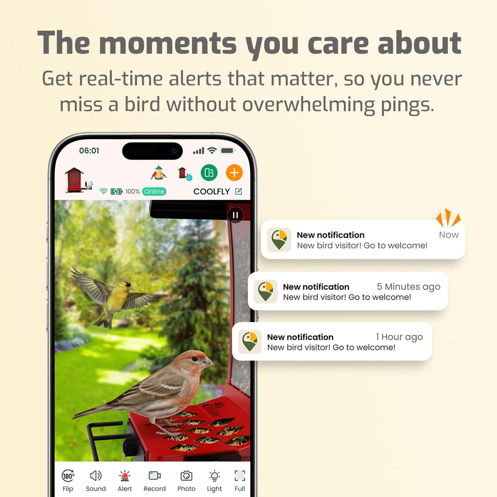 RichBird Smart Bird Feeder in a garden setting